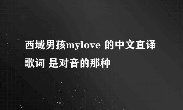 西域男孩mylove 的中文直译歌词 是对音的那种