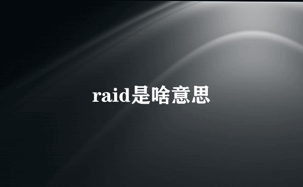 raid是啥意思
