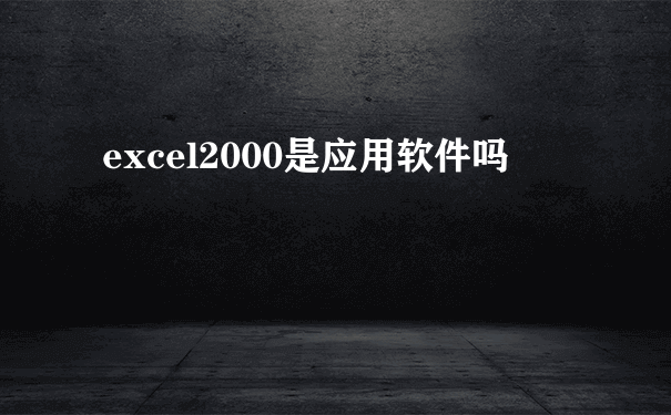 excel2000是应用软件吗