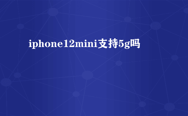 iphone12mini支持5g吗