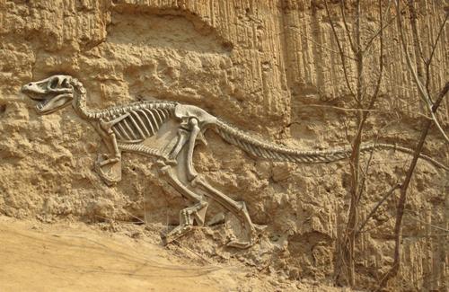 化石是怎么形成的？
