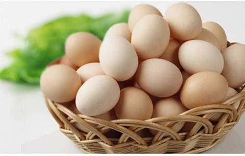 生态鸡蛋是什么？