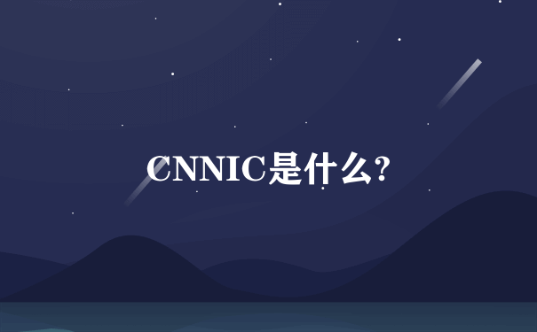 CNNIC是什么?