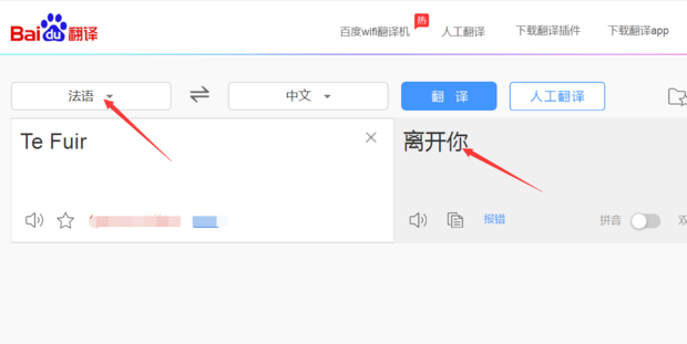 tefuir中文意思是什么？