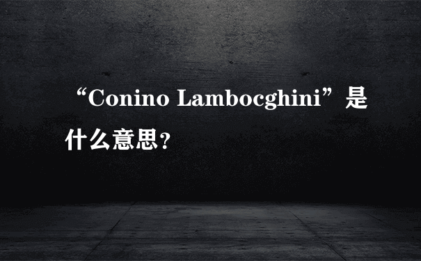 “Conino Lambocghini”是什么意思？