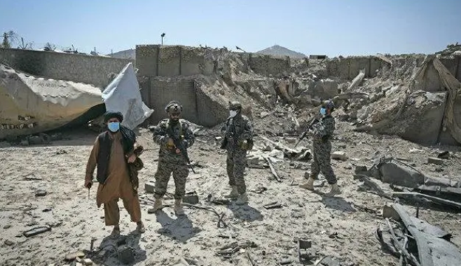 基地组织和塔利班关系是什么？
