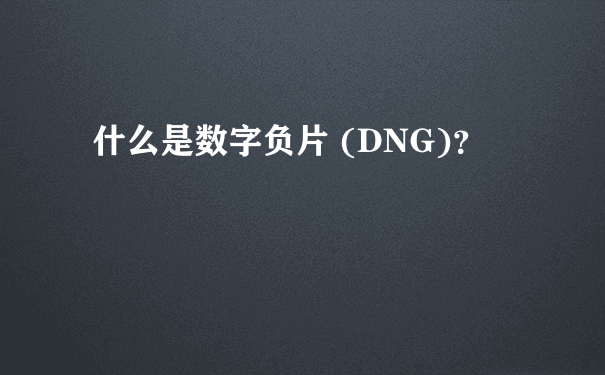 什么是数字负片 (DNG)？