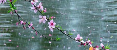 春雨贵如油的原诗是什么？