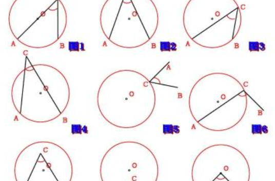 圆周角和圆心角的关系是什么？