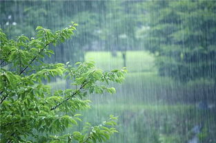 到春节前南方降雨都将一直持续，之后可能会发生什么改变？
