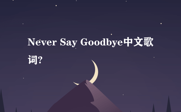 Never Say Goodbye中文歌词?