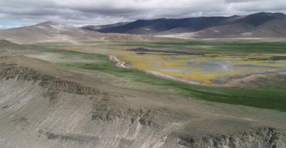 西藏发现8000年前的磨制石针，此次发现有什么意义呢?
