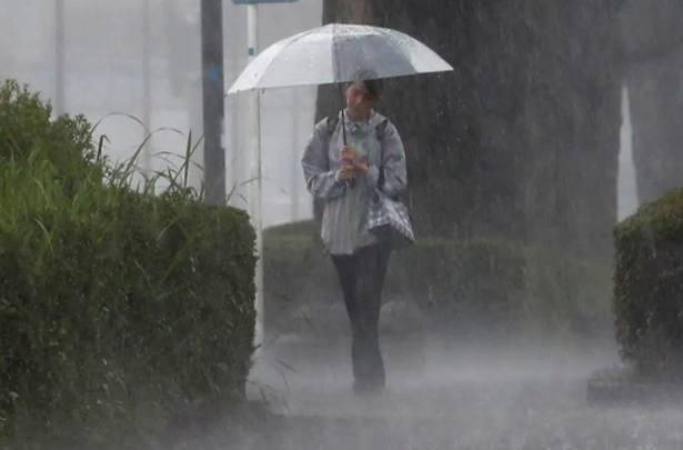 上海暴雨“大白”被吹倒，吐槽暴雨该如何紧急避险？