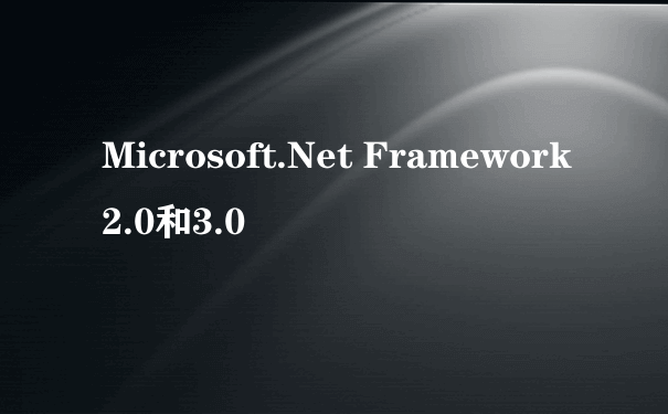 Microsoft.Net Framework2.0和3.0