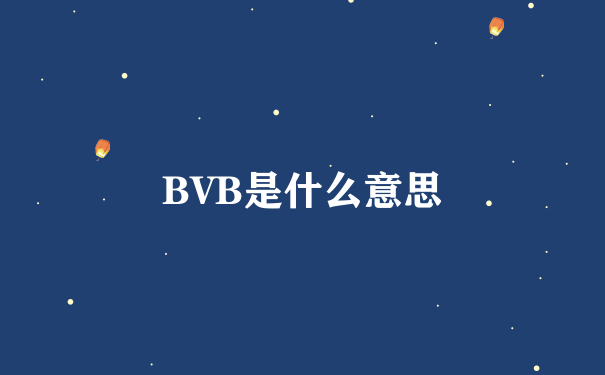 BVB是什么意思