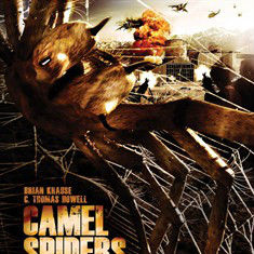 跪求《骆驼蜘蛛(2011)》网盘资源，是布莱恩·克劳斯主演的