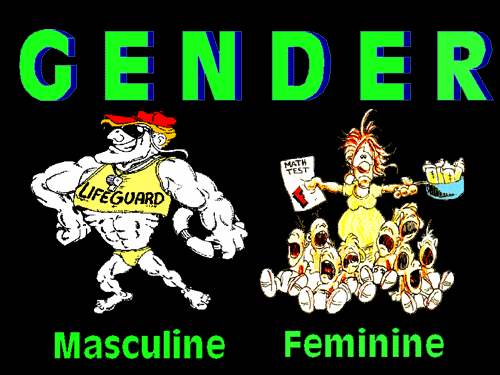 Gender是什么意思