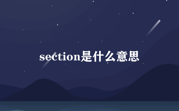 section是什么意思
