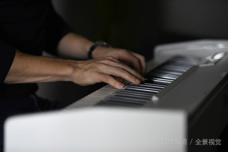 钢琴黑白键宽度一样吗