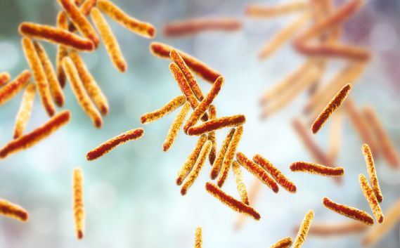 马王堆曾发现中国最早结核菌，这意味着什么？