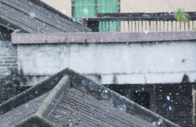 广州下雪是哪一年？