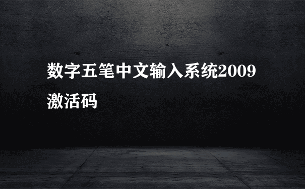 数字五笔中文输入系统2009激活码