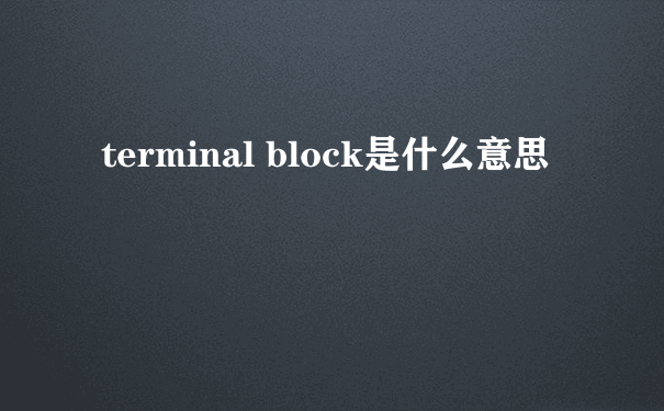terminal block是什么意思