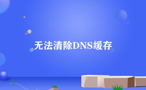 无法清除DNS缓存