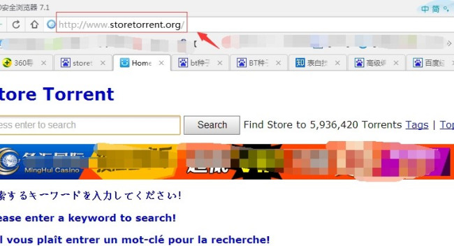 store torrent是怎么了