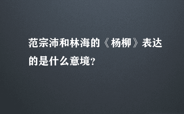 范宗沛和林海的《杨柳》表达的是什么意境？