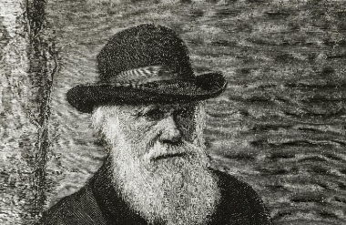 达尔文笔记失窃21年后被匿名归还，达尔文是一个怎样的人物？