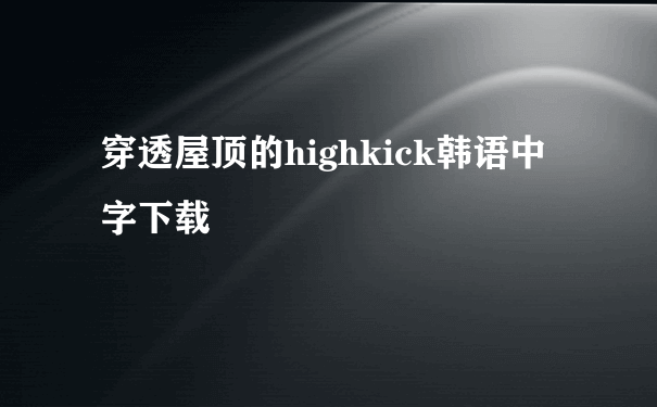 穿透屋顶的highkick韩语中字下载