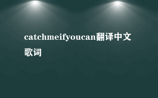 catchmeifyoucan翻译中文歌词