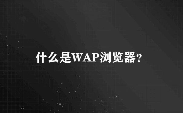 什么是WAP浏览器？