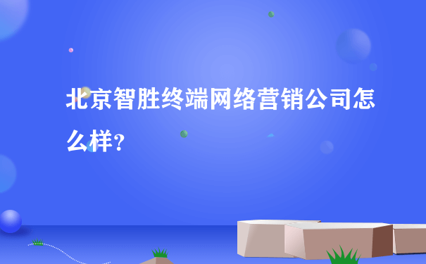 北京智胜终端网络营销公司怎么样？