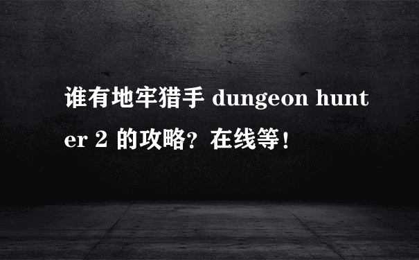 谁有地牢猎手 dungeon hunter 2 的攻略？在线等！