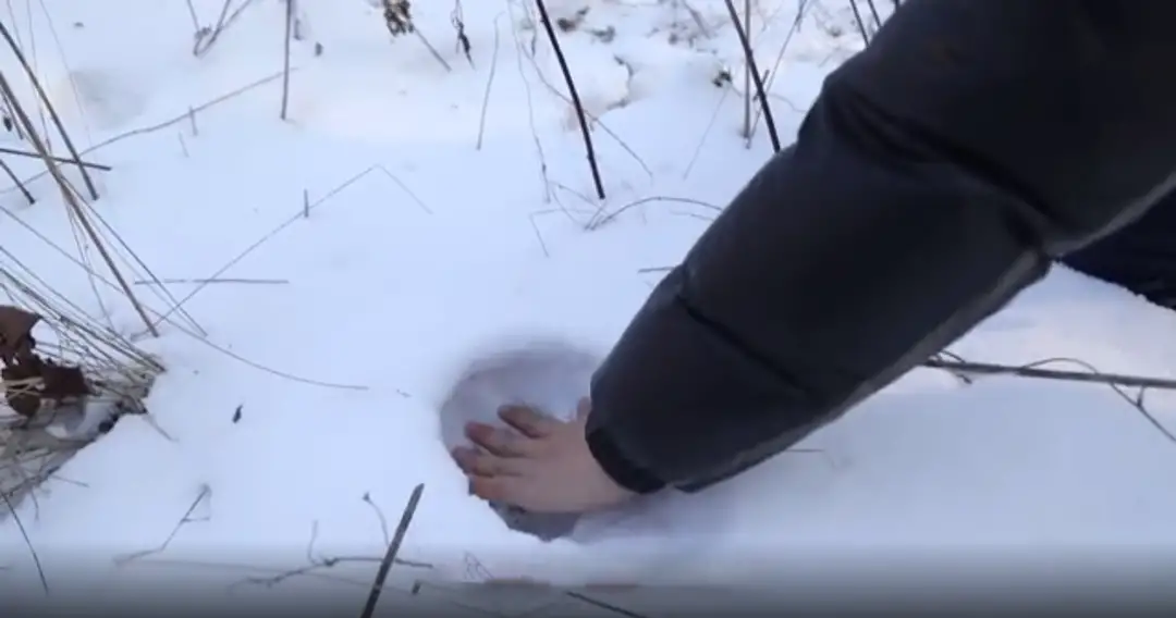 黑龙江居民做核酸路上发现大脚印，这个脚印到底是怎么来的？