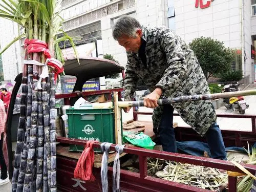 江苏镇政府登门向卖甘蔗老人道歉，你觉得他们的道歉有诚意吗？