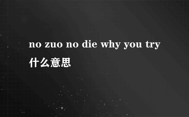 no zuo no die why you try什么意思
