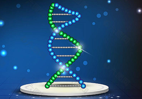 什么是DNA双螺旋结构,它由什么组成