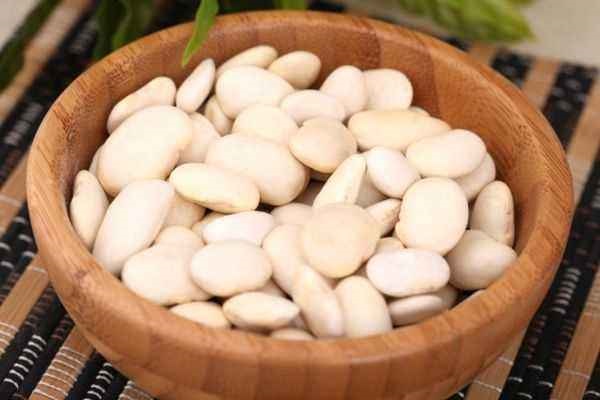 白芸豆能减肥吗