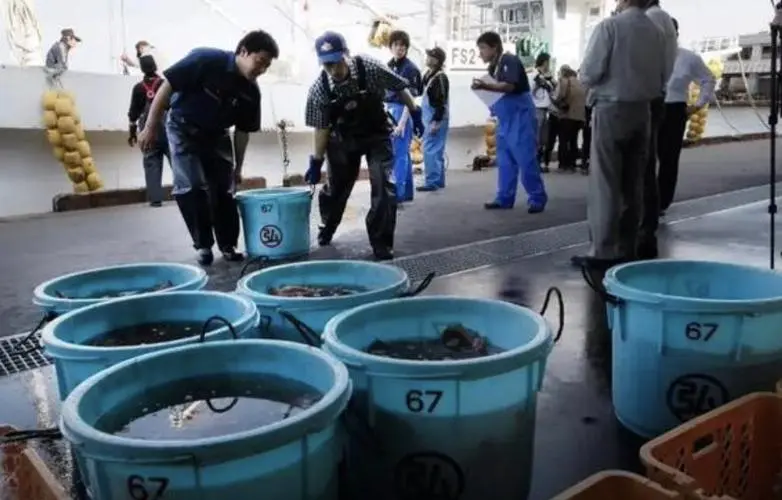 东电将试验用福岛核污水养鱼，东电此举有什么意义？