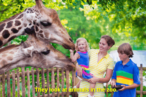 他们在动物园里看动物  用英语怎么说