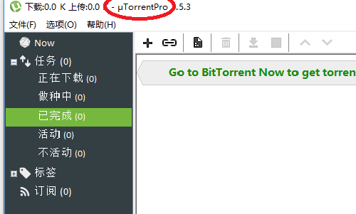 网站上下载的*.torrent 文件怎么用？谢谢