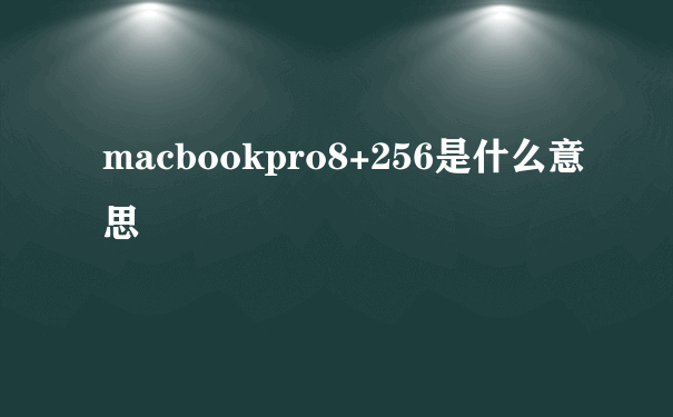macbookpro8+256是什么意思