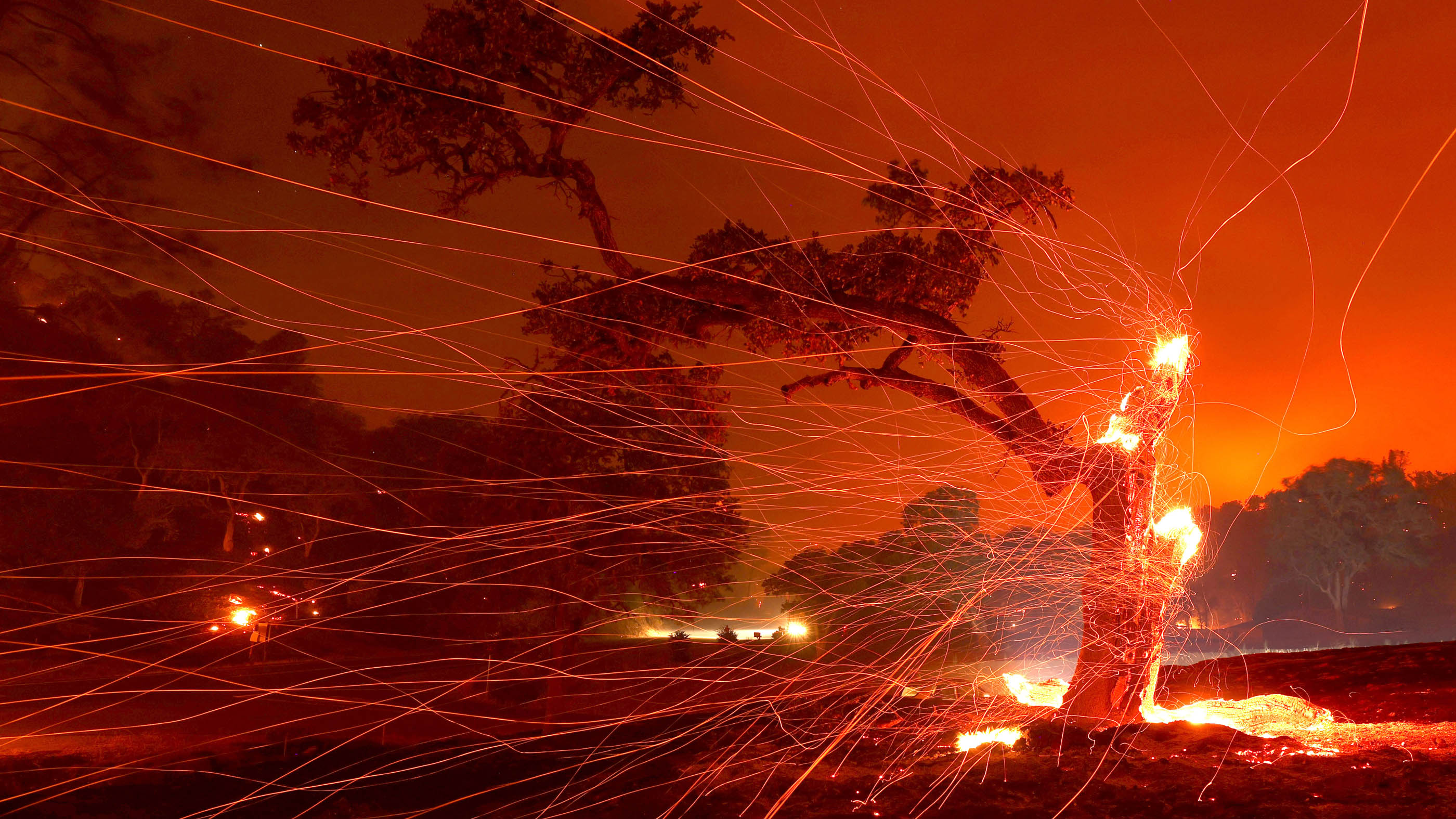 深圳大南山山火系人为纵火，森林遇火我们该如何扑灭？