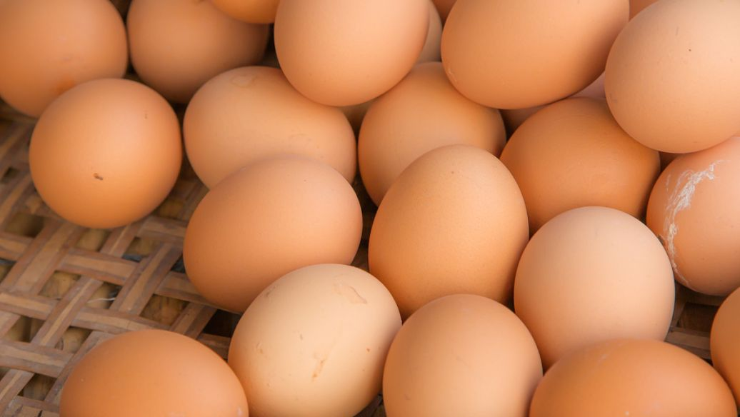鸡蛋价格半年降近3成，是什么原因导致的？