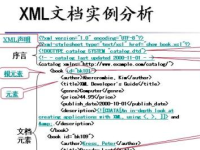 什么是XML?