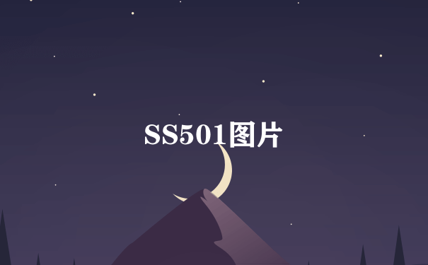 SS501图片