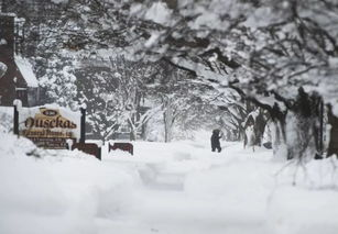 专家称东北多地大暴雪或引发雪灾，雪灾影响人们的生活了吗？